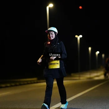 Runner Photo 2743267