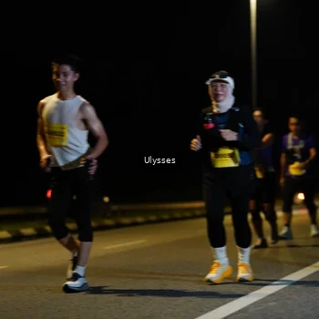 Runner Photo 2743682