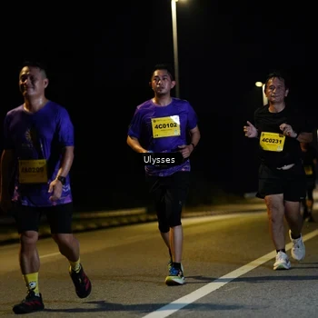 Runner Photo 2744870
