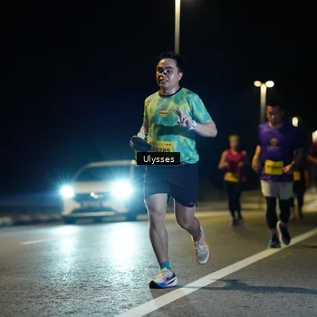Runner Photo 2745256