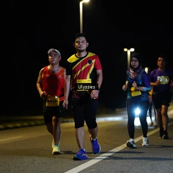 Runner Photo 2746157
