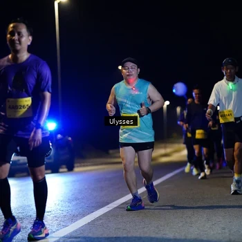 Runner Photo 2746677
