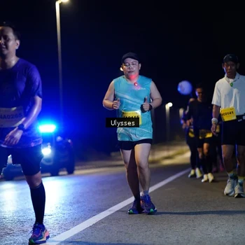 Runner Photo 2746689