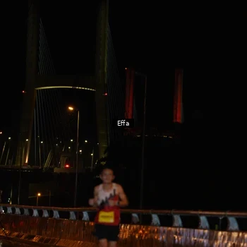 Runner Photo 2748788