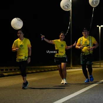 Runner Photo 2749808