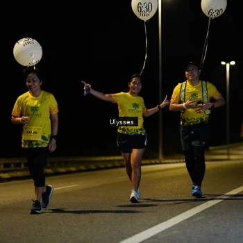 Runner Photo 2749828