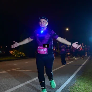 Runner Photo 2751204