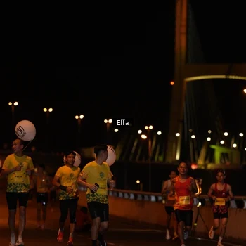 Runner Photo 2751453