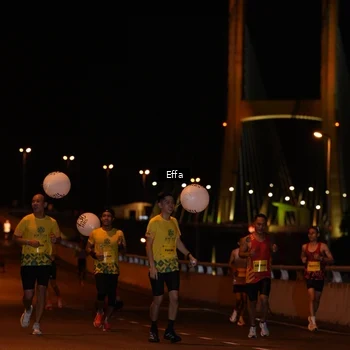 Runner Photo 2751454