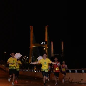 Runner Photo 2751468