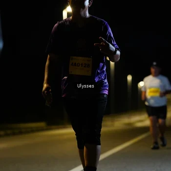 Runner Photo 2754782