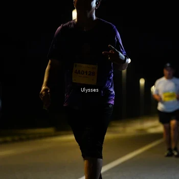 Runner Photo 2754834