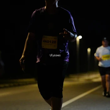 Runner Photo 2754847
