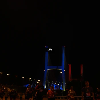 Runner Photo 2756512