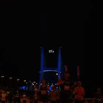 Runner Photo 2756520