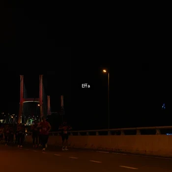 Runner Photo 2756734