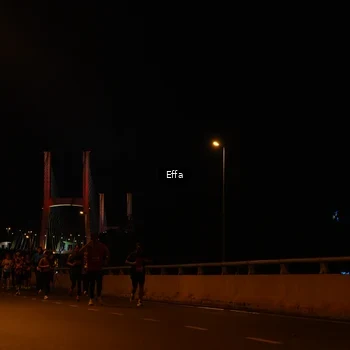 Runner Photo 2756742