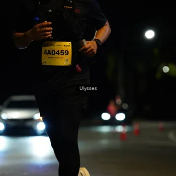 Runner Photo 2764356