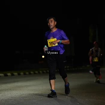Runner Photo 2766378