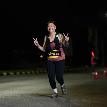 Runner Photo 2768251