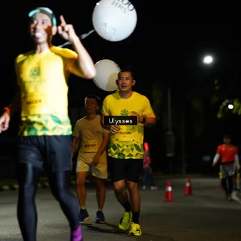 Runner Photo 2769458