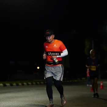 Runner Photo 2769579