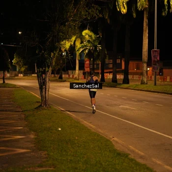 Runner Photo 2772089