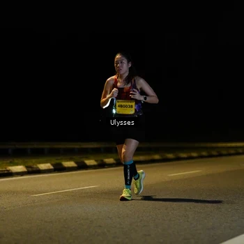 Runner Photo 2784225