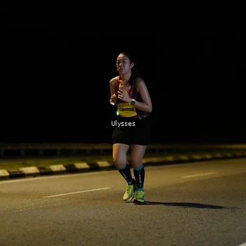 Runner Photo 2784240