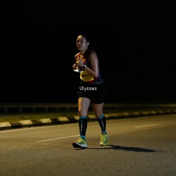 Runner Photo 2784241