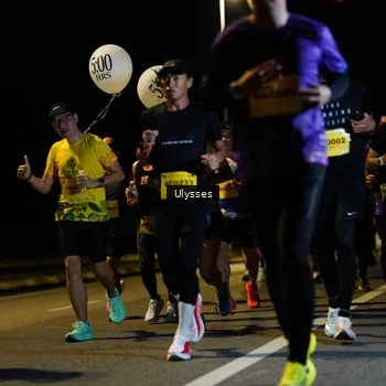 Runner Photo 2784753