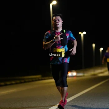 Runner Photo 2786508