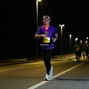 Runner Photo 2787534