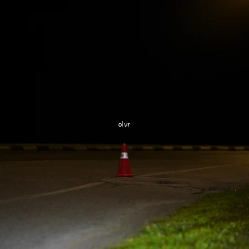 Runner Photo 2789301