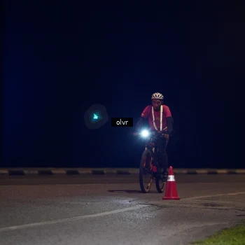 Runner Photo 2789424
