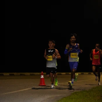 Runner Photo 2789594