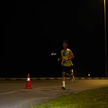 Runner Photo 2789886