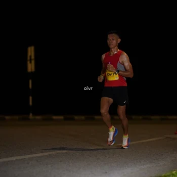 Runner Photo 2790403