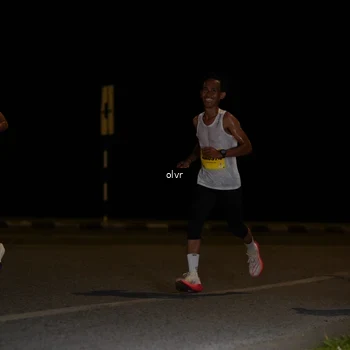 Runner Photo 2790807