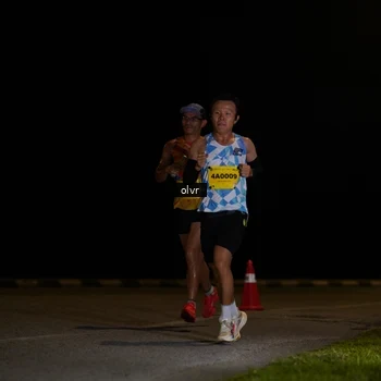 Runner Photo 2793697