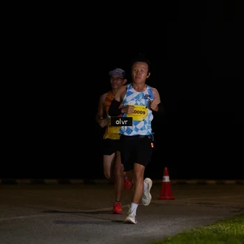 Runner Photo 2793739