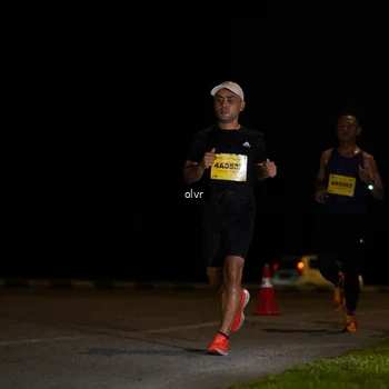 Runner Photo 2793901