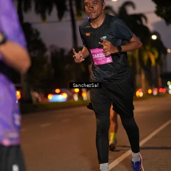 Runner Photo 2794130