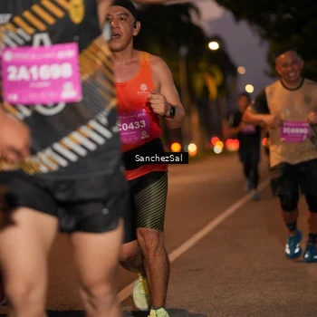 Runner Photo 2794397