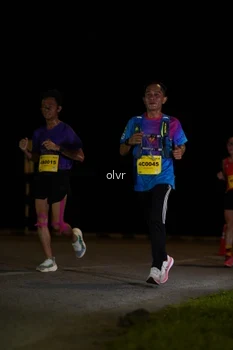 Runner Photo 2794812