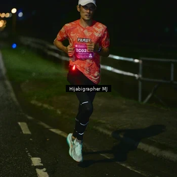 Runner Photo 2794932