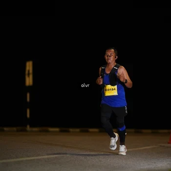 Runner Photo 2797564