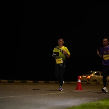 Runner Photo 2798855