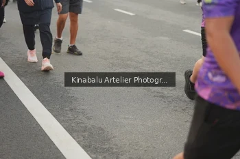 Runner Photo 2803987