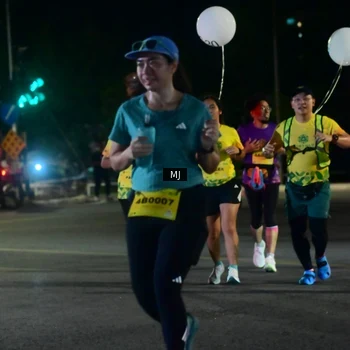 Runner Photo 2834776
